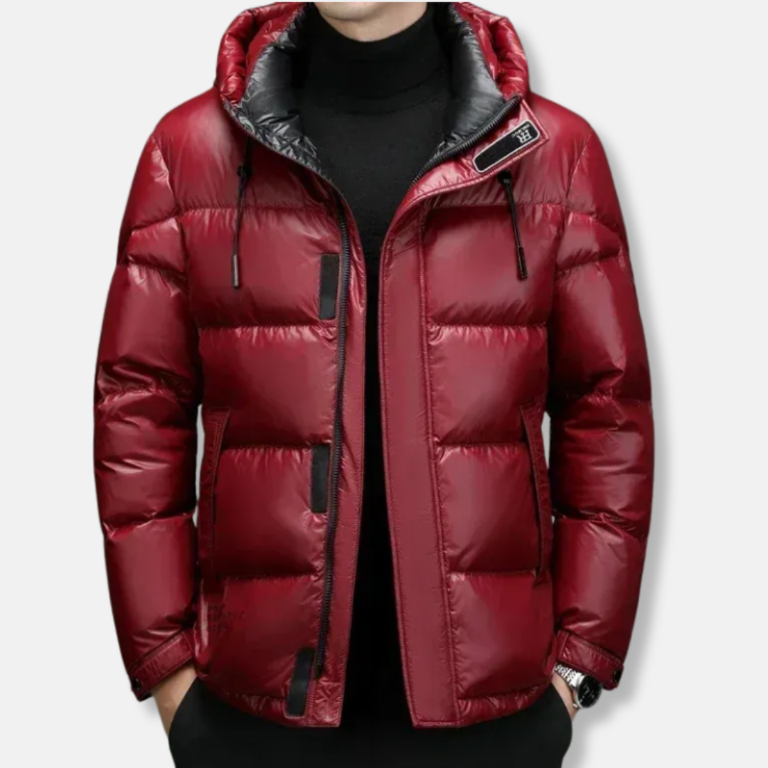 Men's water-resistant down jacket regular fit hooded drawstring winter outerwear urban style