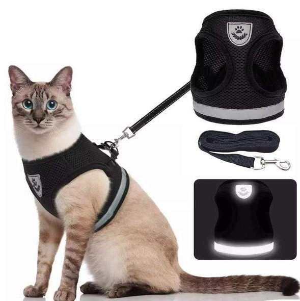 Light-up cat harness with reflective band, adjustable breathable mesh straps for outdoor adventures