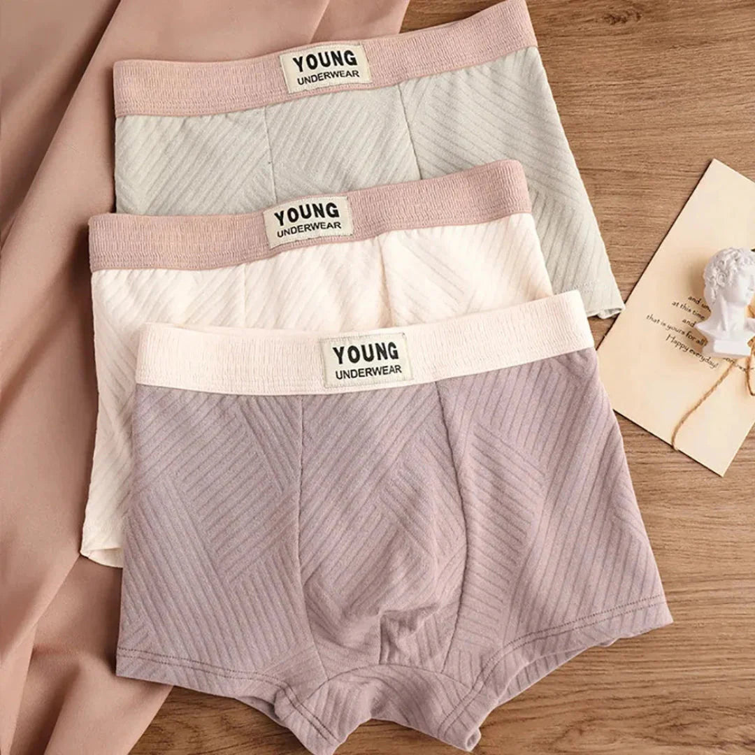 3-Pack Antibacterial Cotton Men's Boxers