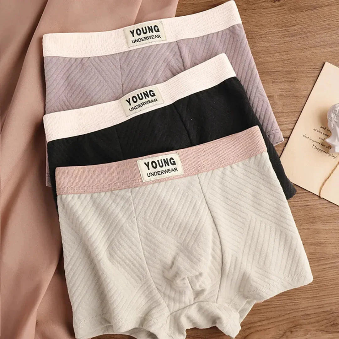 3-Pack Antibacterial Cotton Men's Boxers