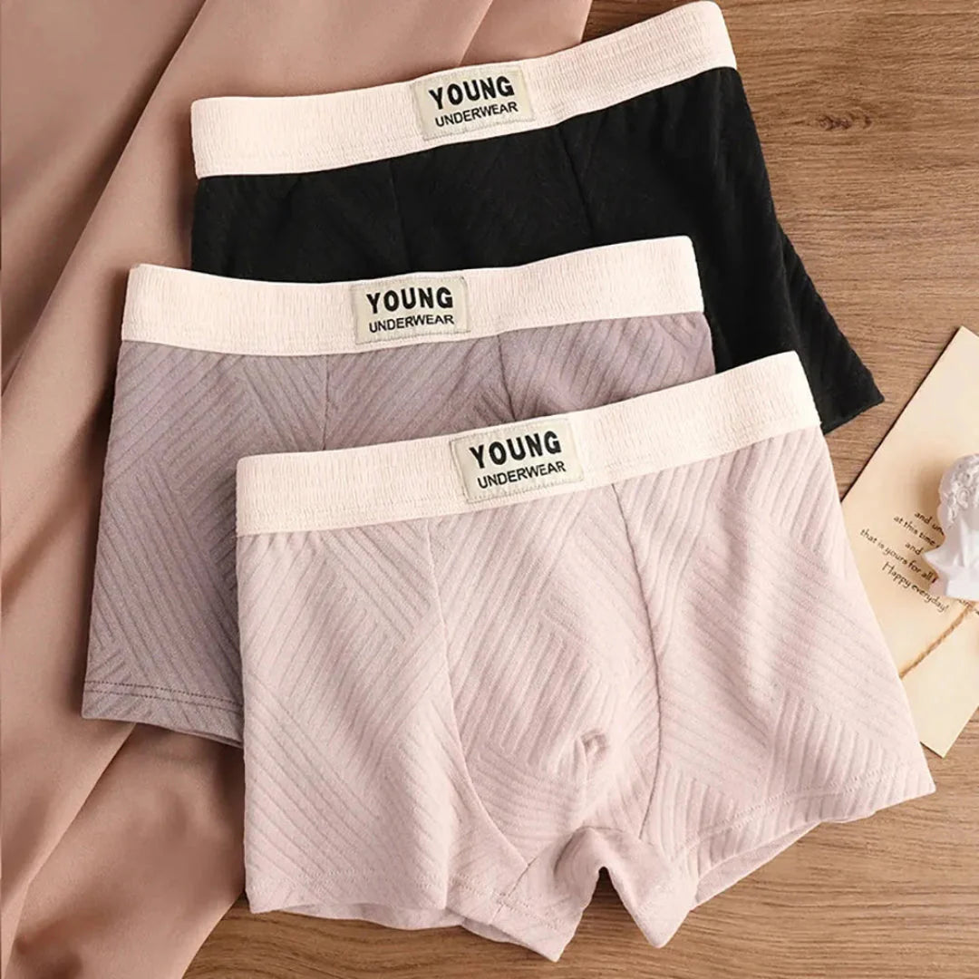 3-Pack Antibacterial Cotton Men's Boxers