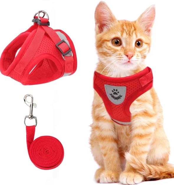 Light-up cat harness adjustable breathable mesh straps reflective band outdoor safety visibility