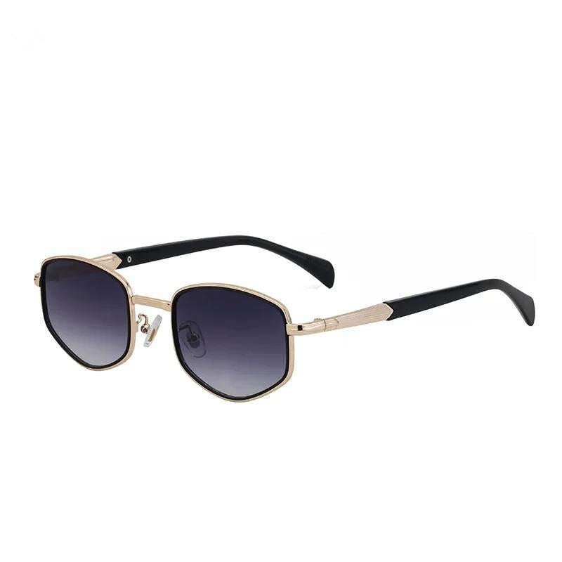 Arion polarized sunglasses polished metal alloy frames UV400 adjustable nose pads outdoor style