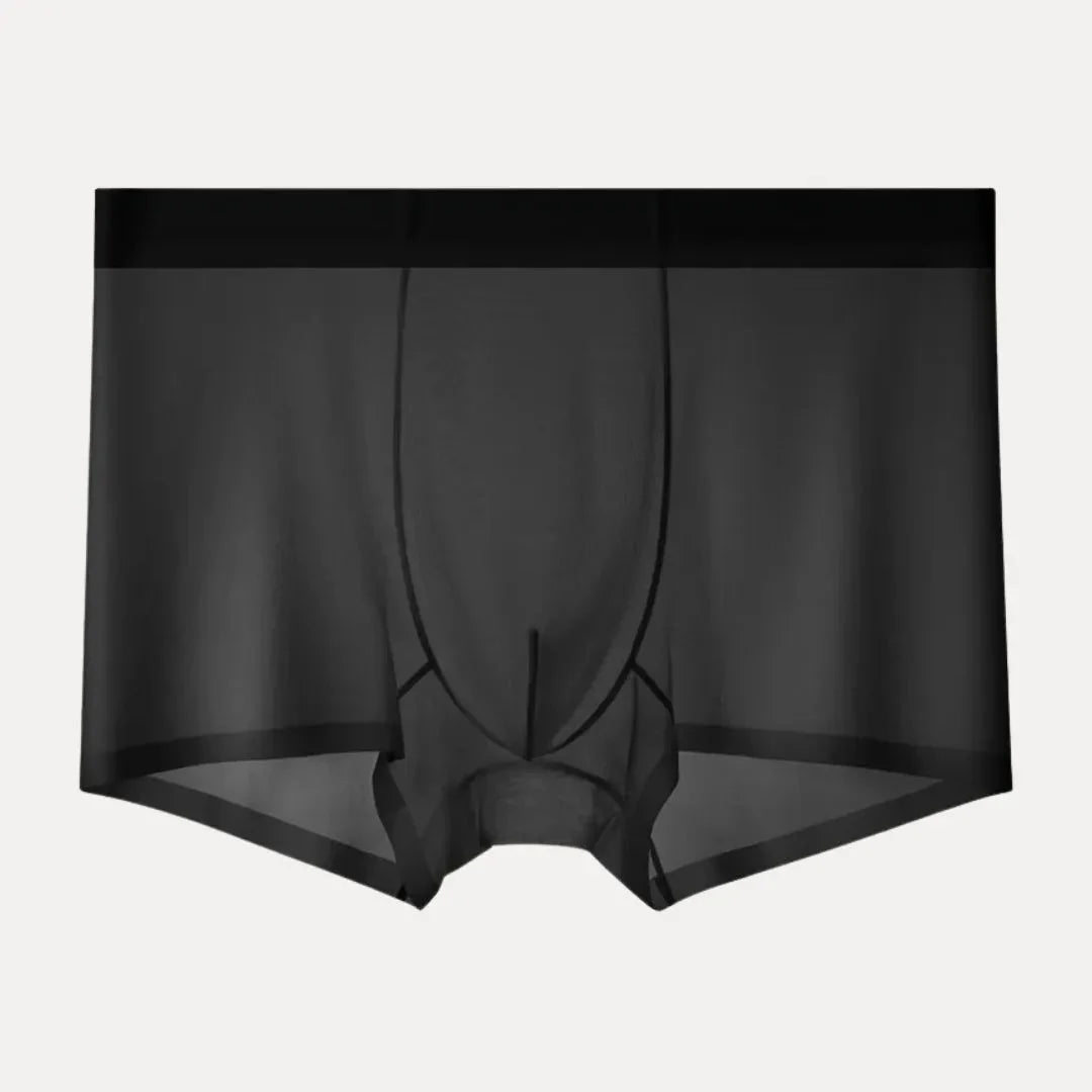 Ultra-thin ice silk men's boxer briefs in sheer fabric, lightweight breathable barely-there fit, 4-pack