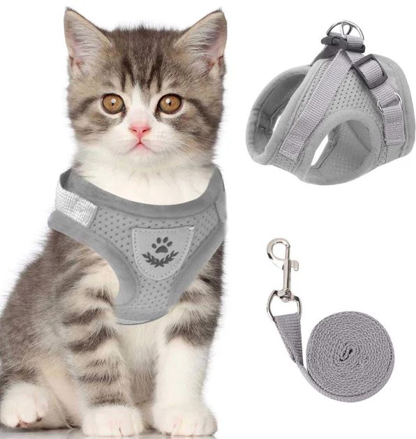 Light-up cat harness with reflective LED strip, adjustable breathable mesh straps for outdoor adventures