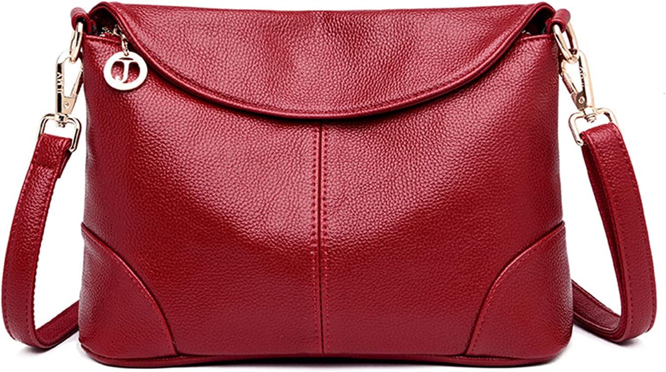 Vintage structured crossbody bag with top closure in classic silhouette for urban everyday use