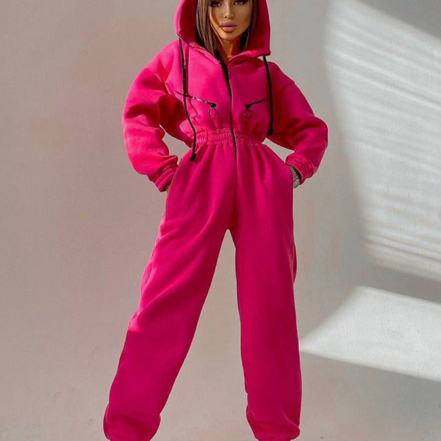 Women's stretchy spandex hoodie two-piece set stand-up collar casual athleisure loungewear