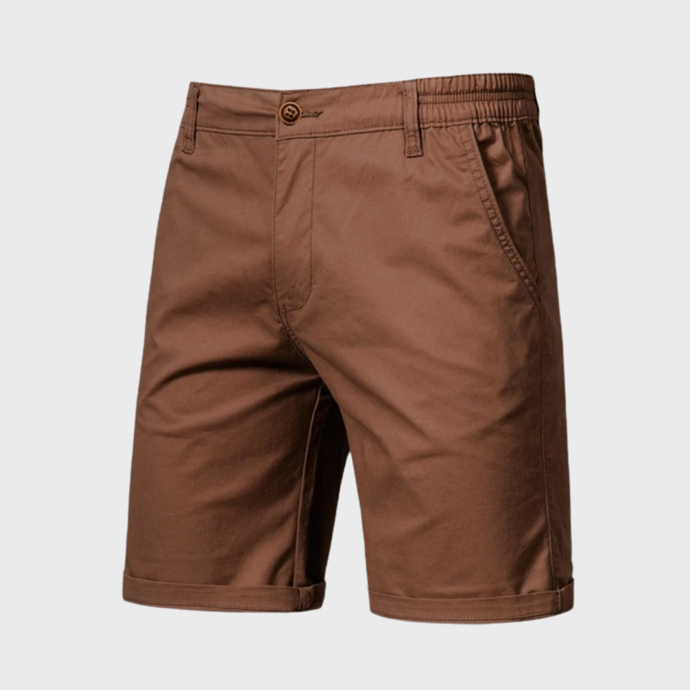 Levi's men's casual cotton shorts breathable active fit durable everyday wear versatile style