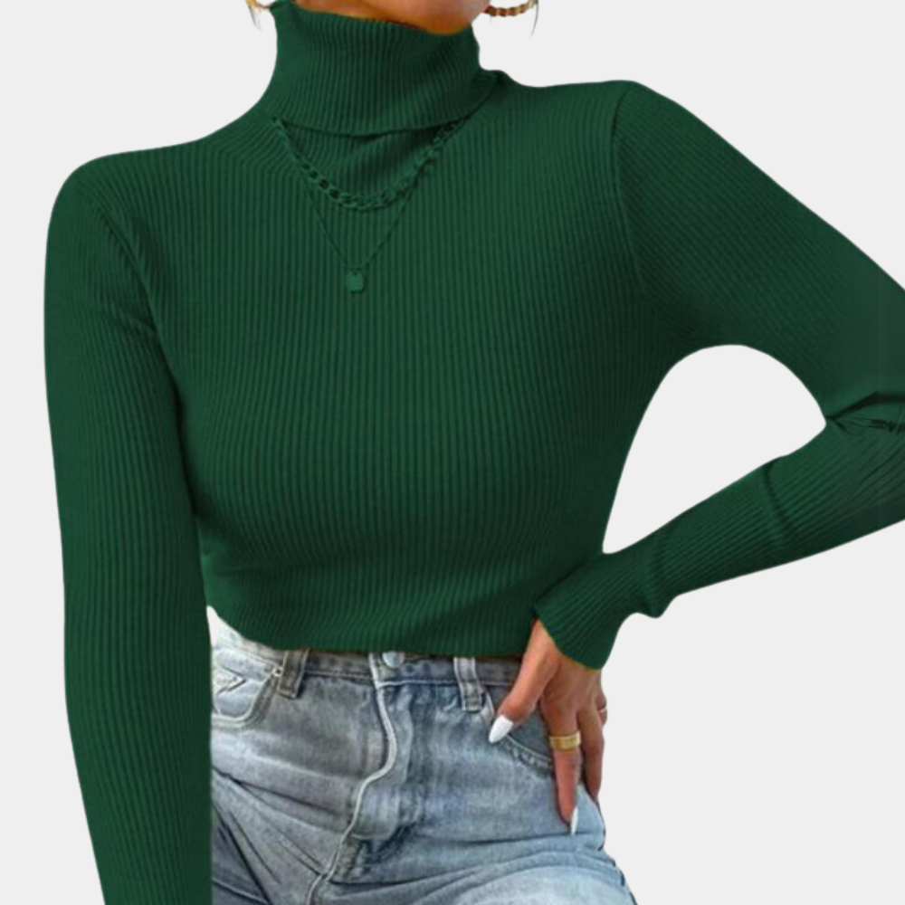 Women's elegant turtleneck knit sweater for office wear, cozy all-day warmth and timeless style