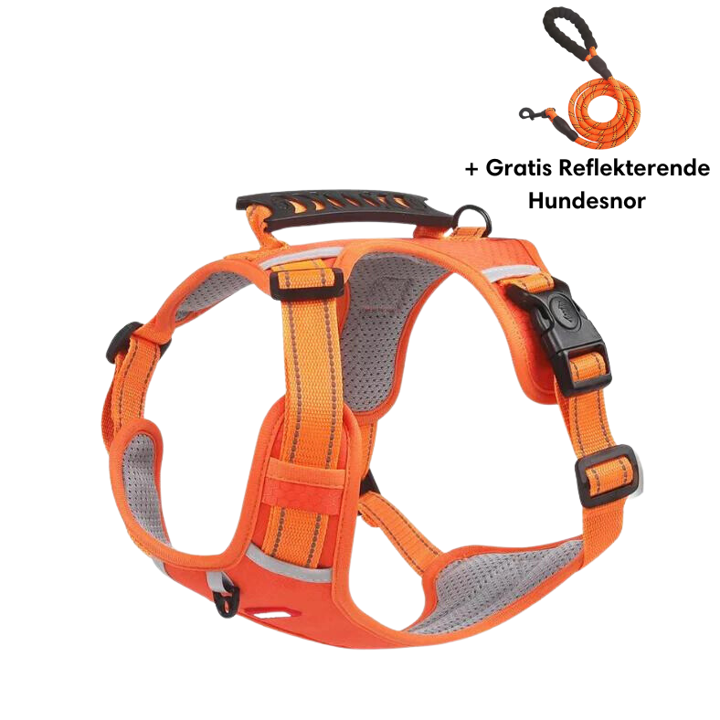 Reflective anti-pull dog harness bright glow-in-the-dark vet-recommended safe visibility active dogs