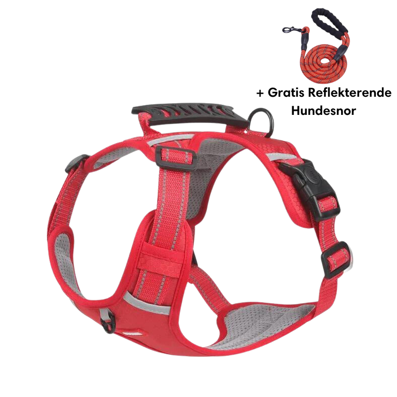 Reflective anti-pull dog harness bright visibility vet recommended safe walks active dogs