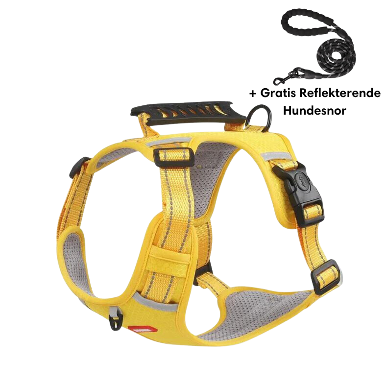 Reflective anti-pull dog harness bright visibility vet recommended safe walks active dogs