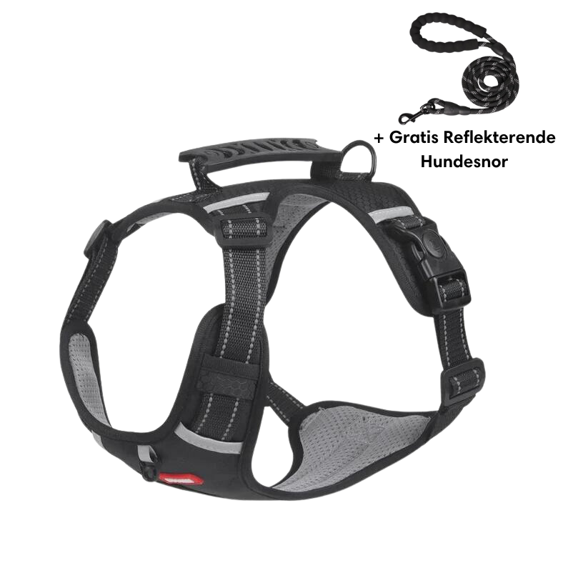 Reflective anti-pull dog harness bright visibility glow-in-the-dark vet recommended safe control