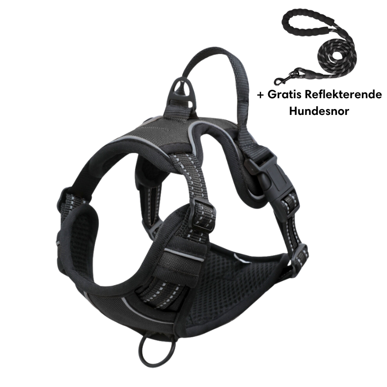 Reflective anti-pull dog harness bright visibility glow-in-the-dark vet recommended safe active dogs