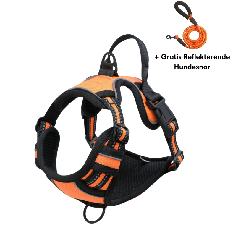 Reflective anti-pull dog harness bright glow-in-the-dark vet recommended for active dogs