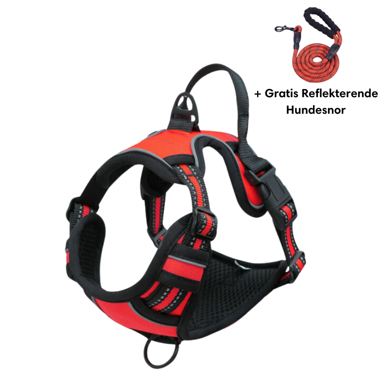 Reflective anti-pull dog harness with glow-in-the-dark strips for high-visibility safe walks