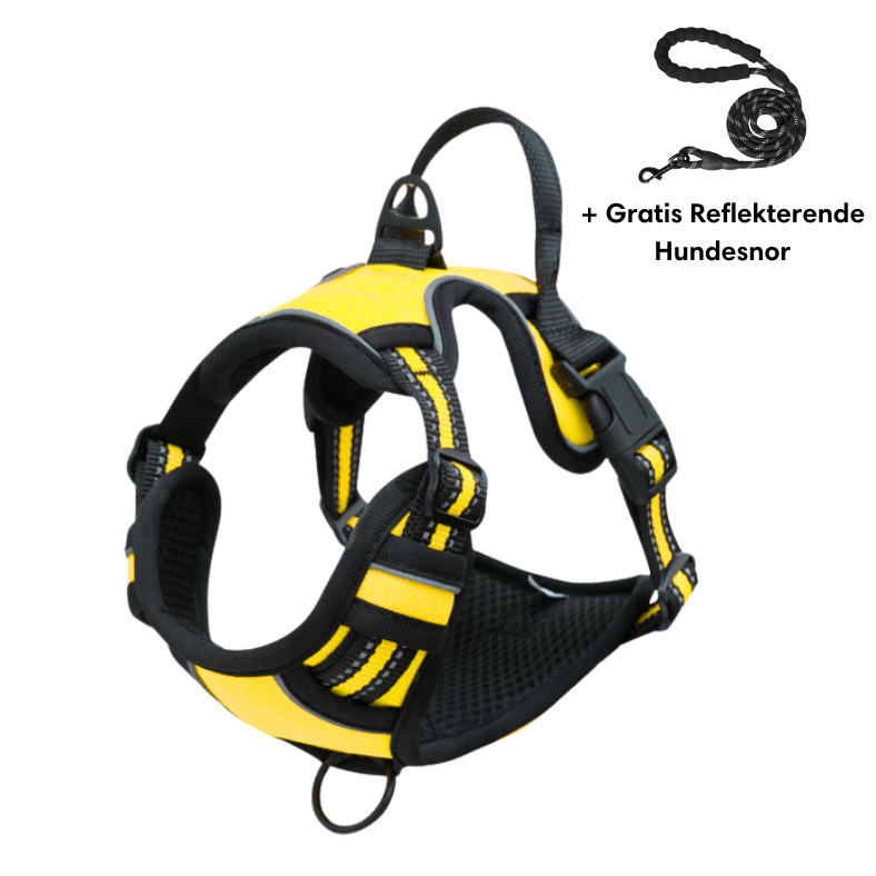Reflective anti-pull dog harness bright visibility glow-in-the-dark vet recommended safe active dogs