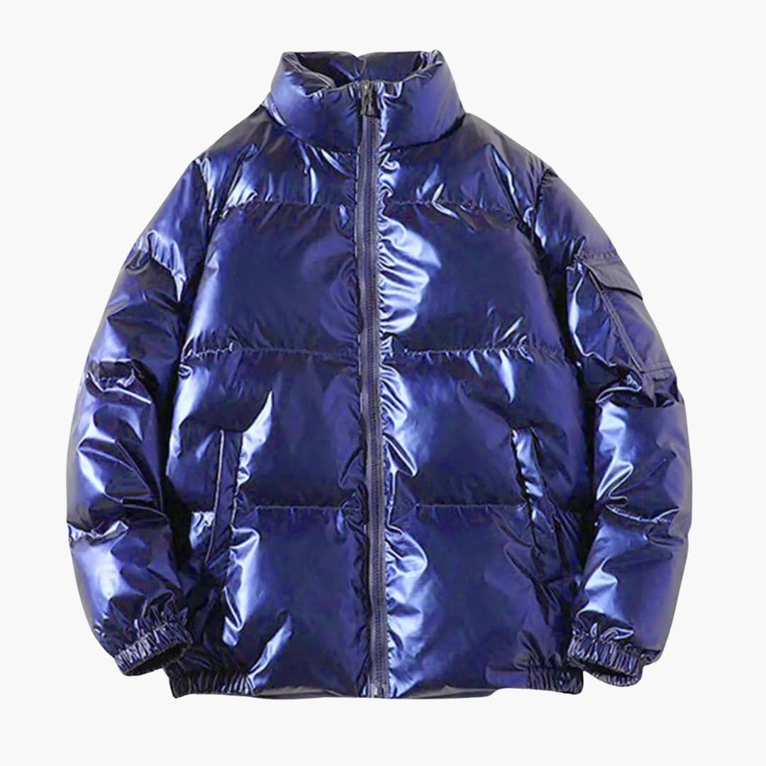 Men's shiny down jacket with stand-up collar and full zip, sleek winter puffer for everyday warmth