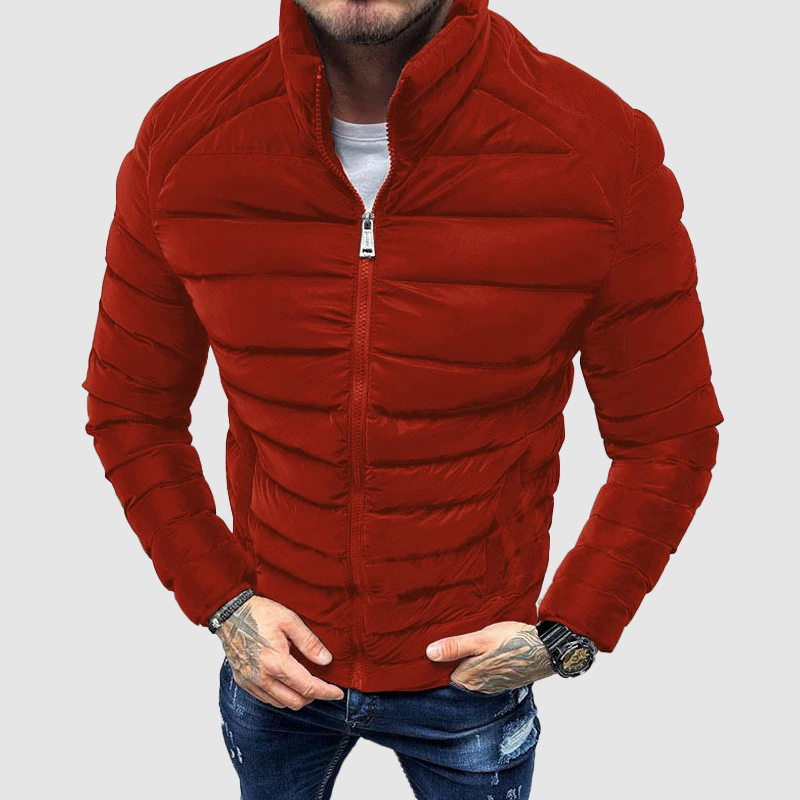 Men's slim fit navy down jacket stand-up collar full zip lightweight urban puffer coat