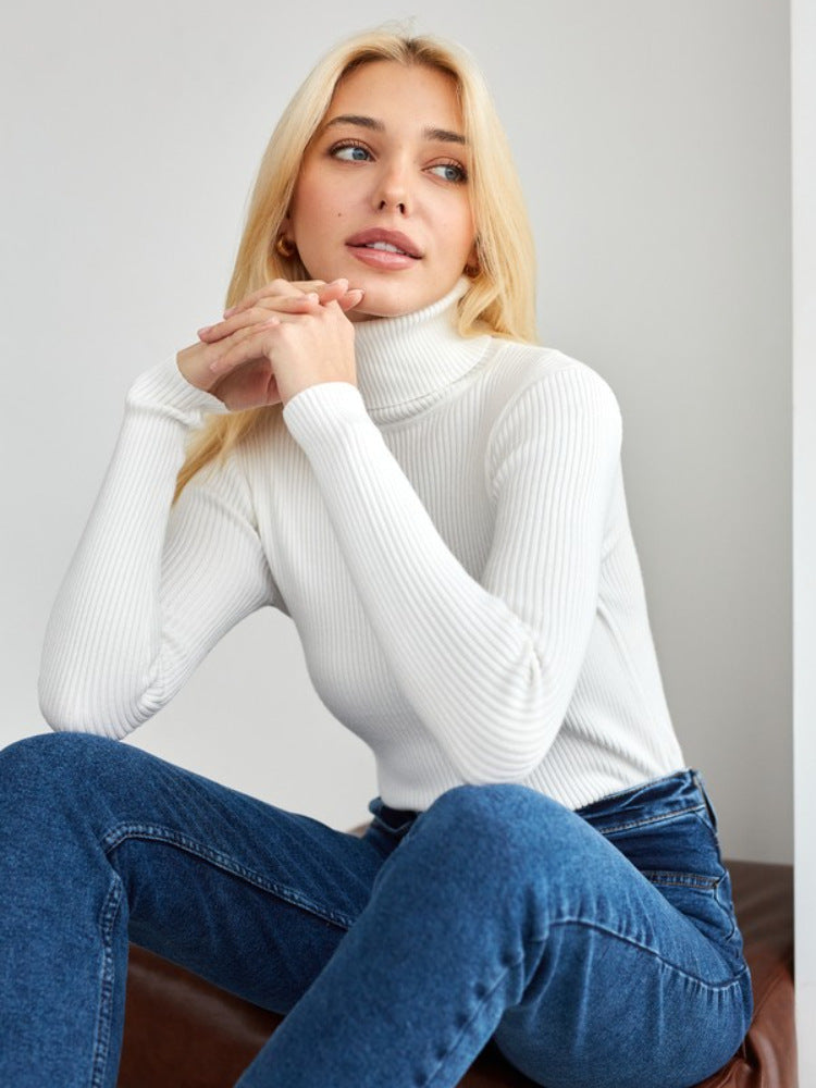 Women's slim fit ribbed knit turtleneck pullover top in neutral long sleeve layering essential