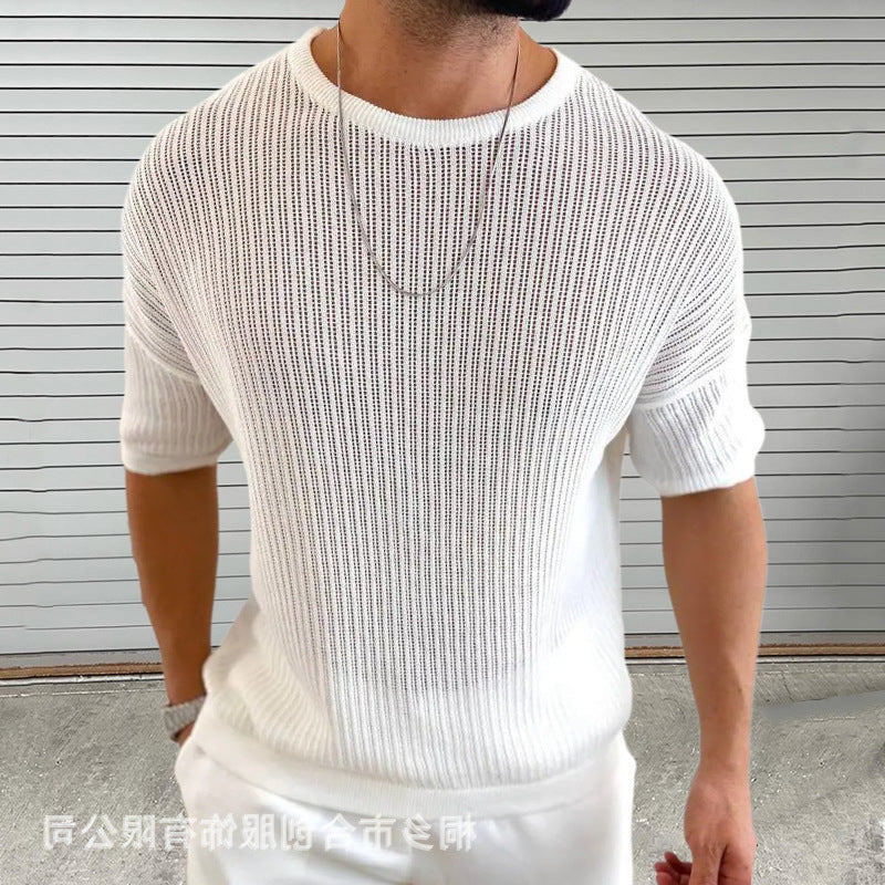 Men's slim fit short sleeve crew neck knit sweater with light rib texture in cotton blend