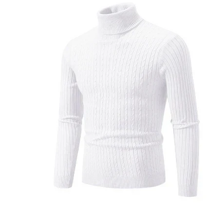 Men's classic knit turtleneck sweater in neutral tone, slim fit with signature high collar for winter warmth