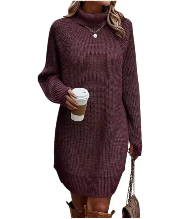 Women's winter knit turtleneck dress, long sleeves, relaxed fit, cozy cold-weather style