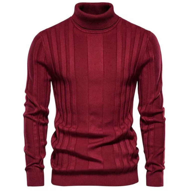Men's slim fit turtleneck sweater earth tone premium knitwear with subtle collar detail