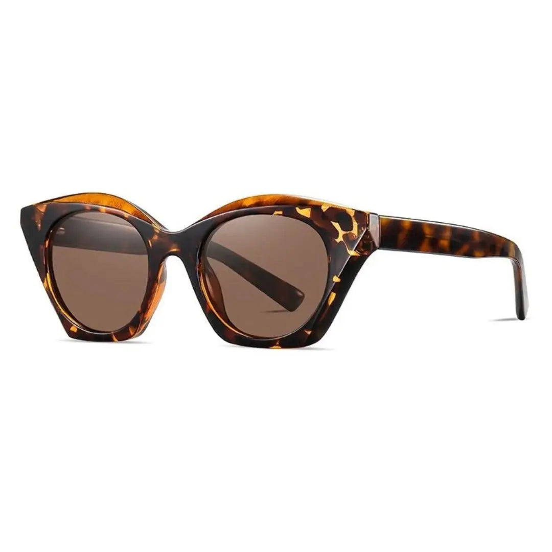 Stella Glamour cat-eye sunglasses with gradient lenses, modern silhouette for fashion-forward women