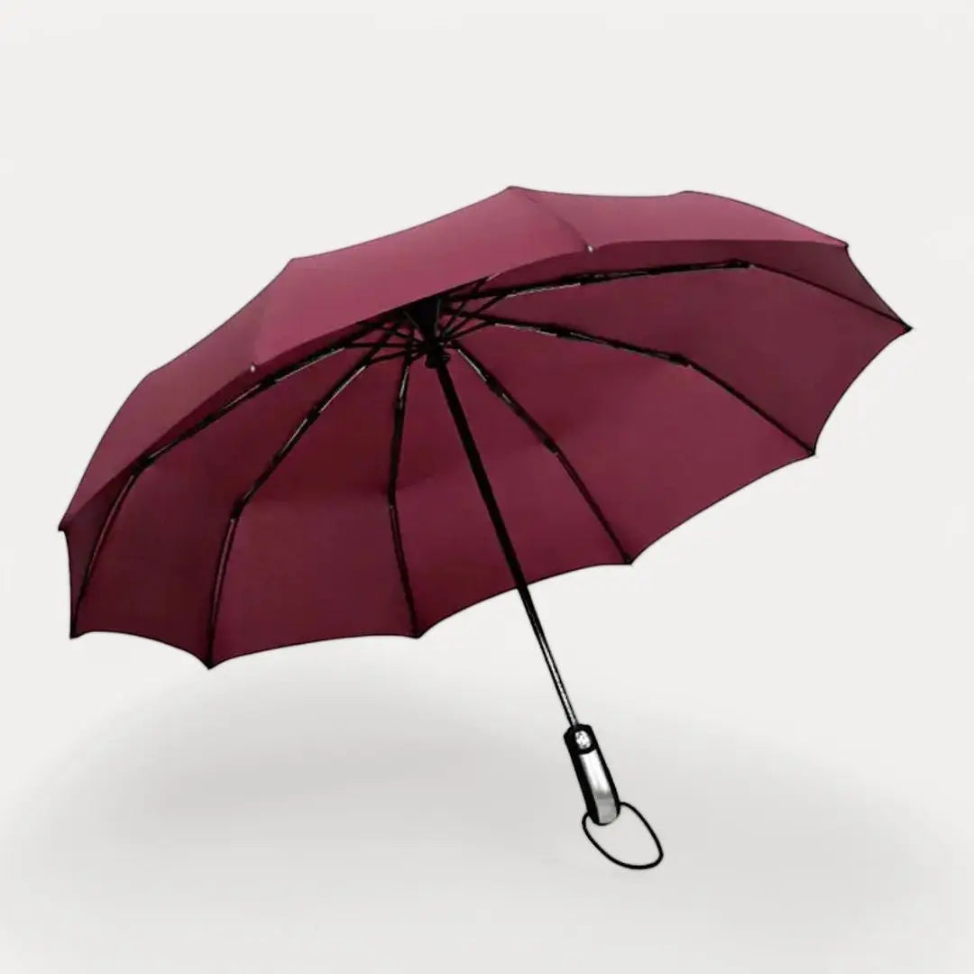 UltraShield windproof auto-fold umbrella for professionals, reinforced frame, sleek compact design
