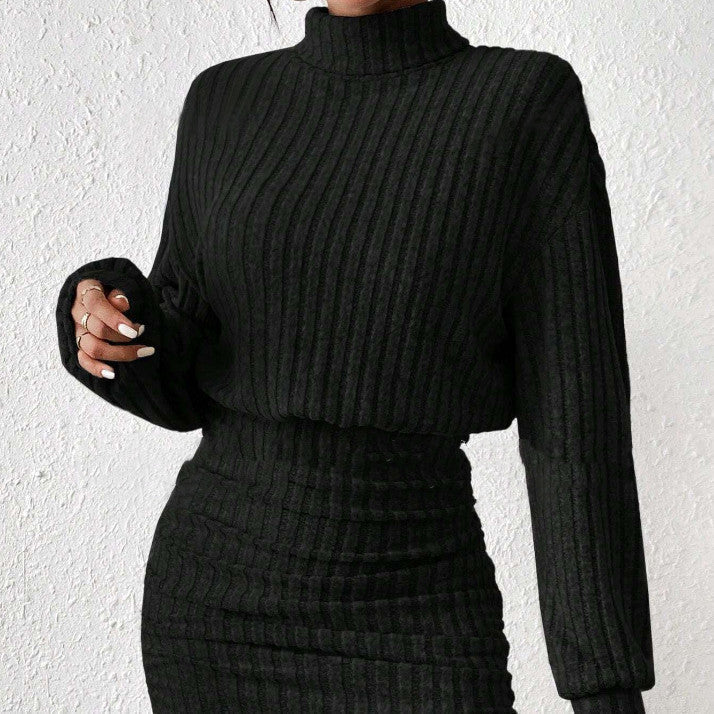 Women's ribbed knit robe dress high collar cozy winter long sweater neutral tones