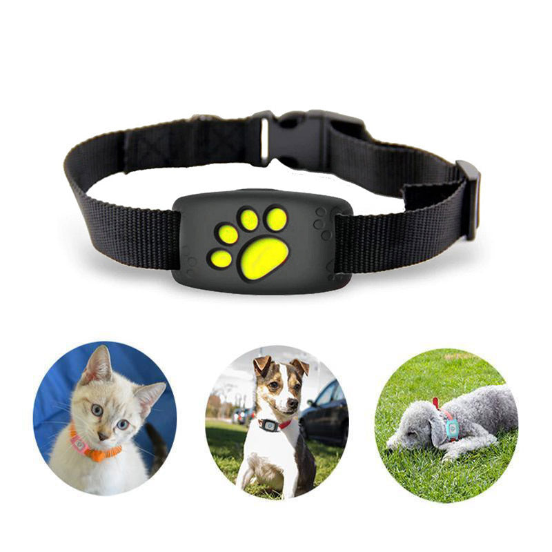 NeckCat waterproof GPS pet collar tracker real-time location no monthly fee cats dogs