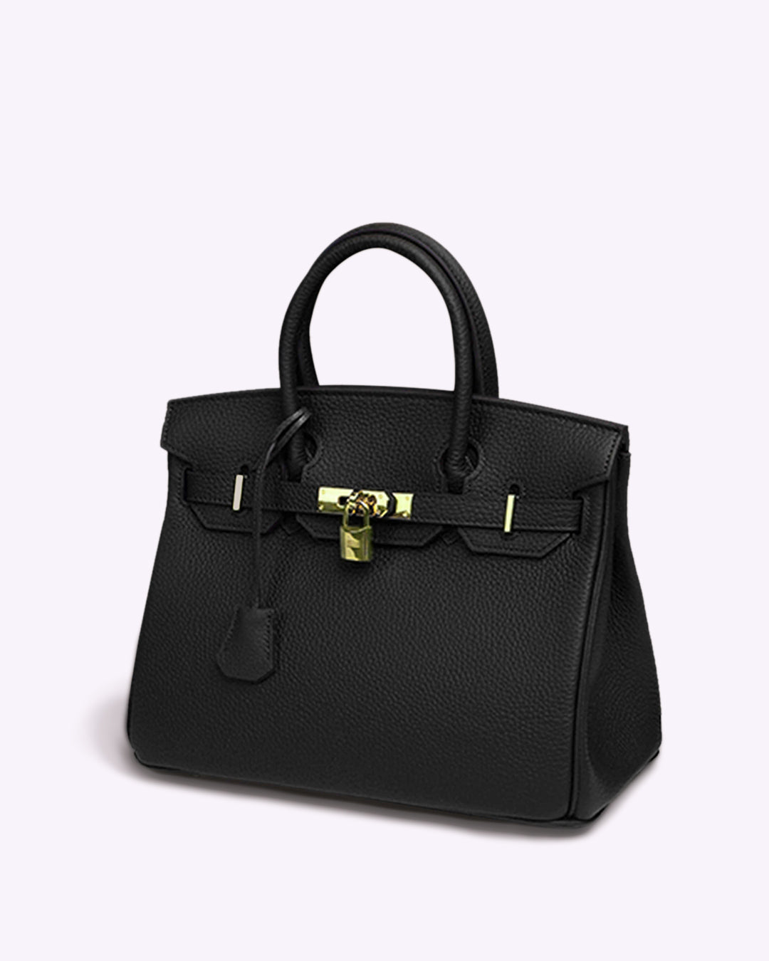 Women's vintage structured handbag with decorative lock detail, timeless design for work and leisure