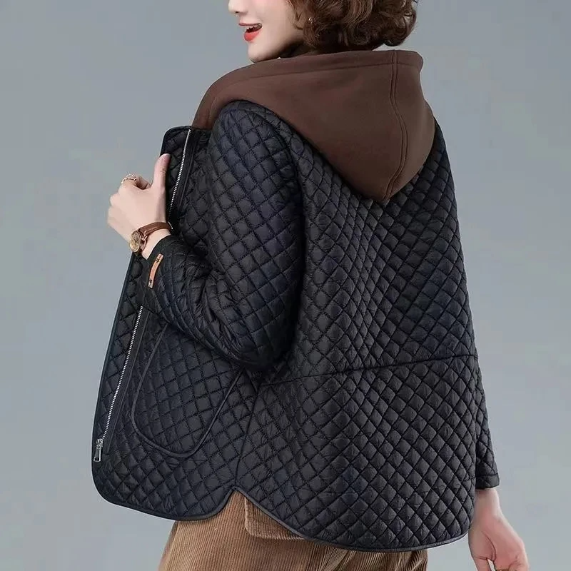 Women's diamond-quilted lightweight coat with asymmetrical hem, chic structured cotton padding