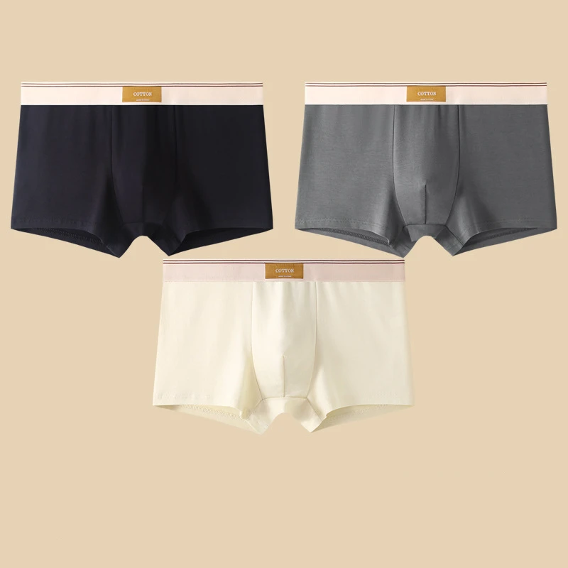 Men's solid color fitted boxer briefs three-piece set with logo waistband for all-day comfort