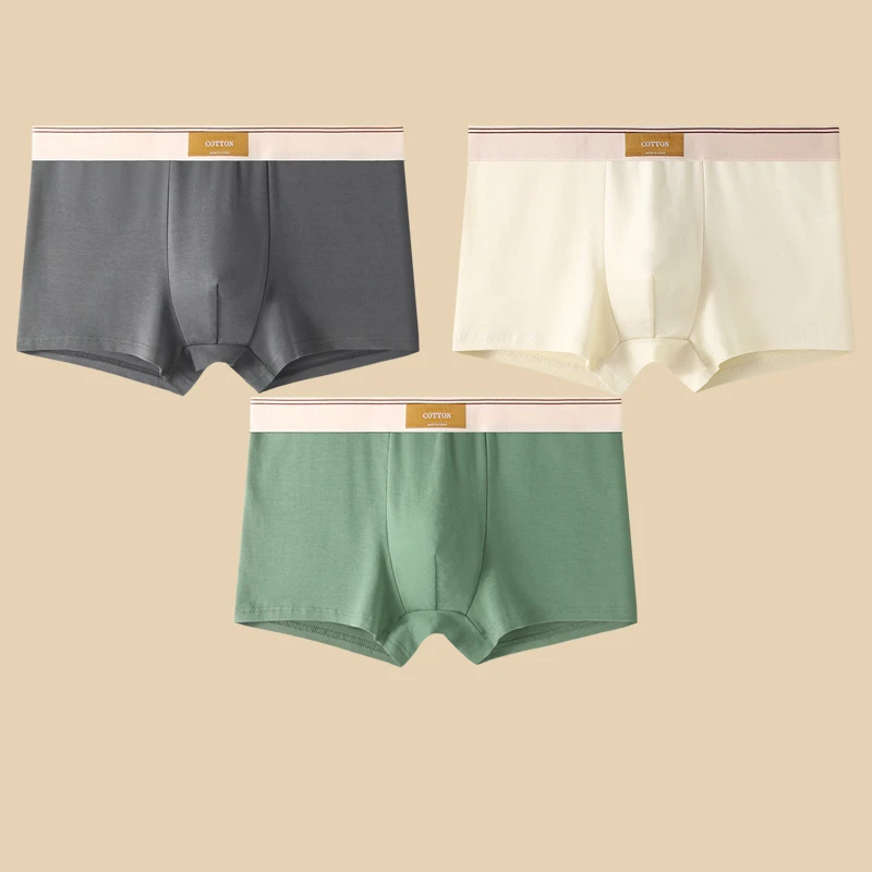 Men's fitted boxer briefs three-piece set solid colors with logo waistband everyday comfort underwear