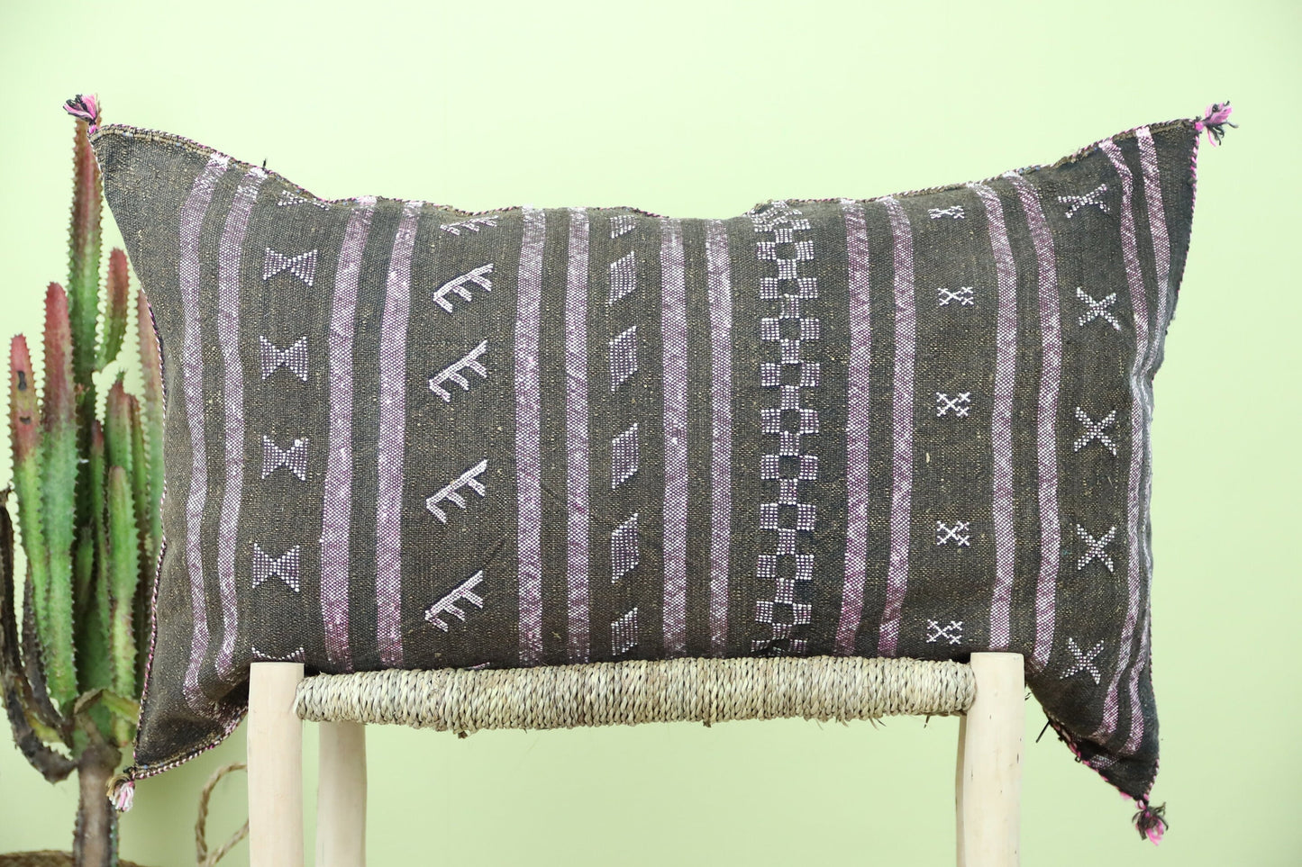 Razil Cuctus Silk Pillow - Urbann-Vibe