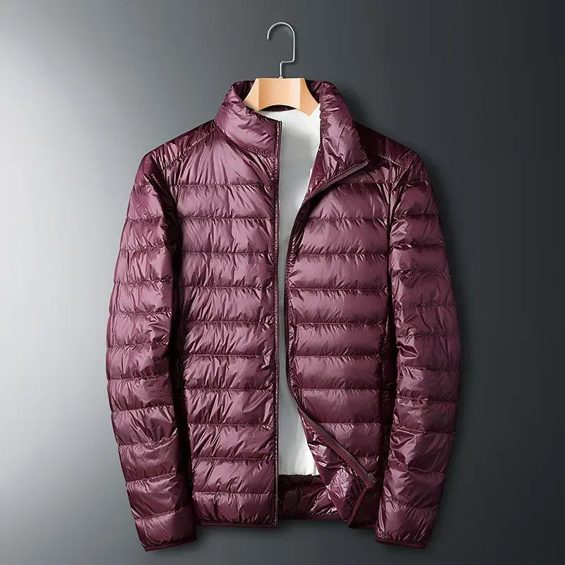 Men's regular fit padded puffer jacket water-resistant high collar warm insulated cold weather coat