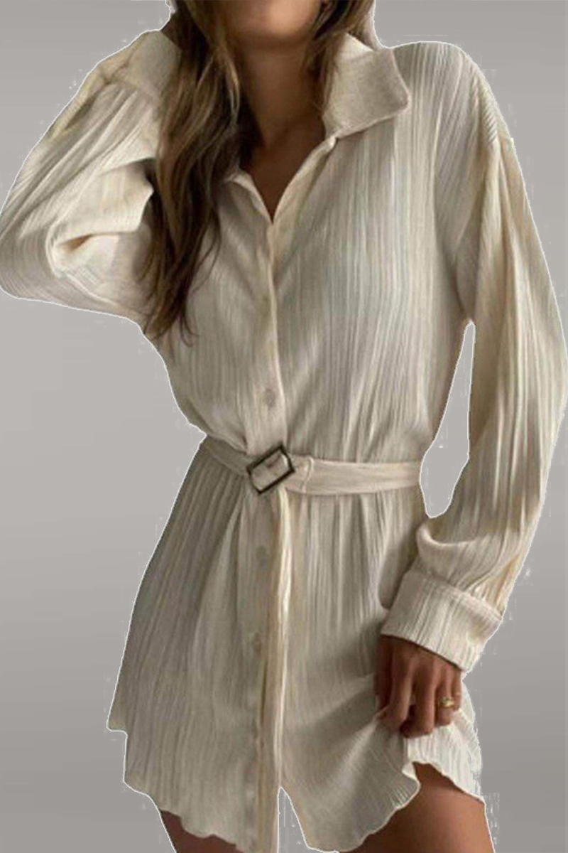 Women's pleated mini shirt dress in neutral tone with belted waist and button-down silhouette