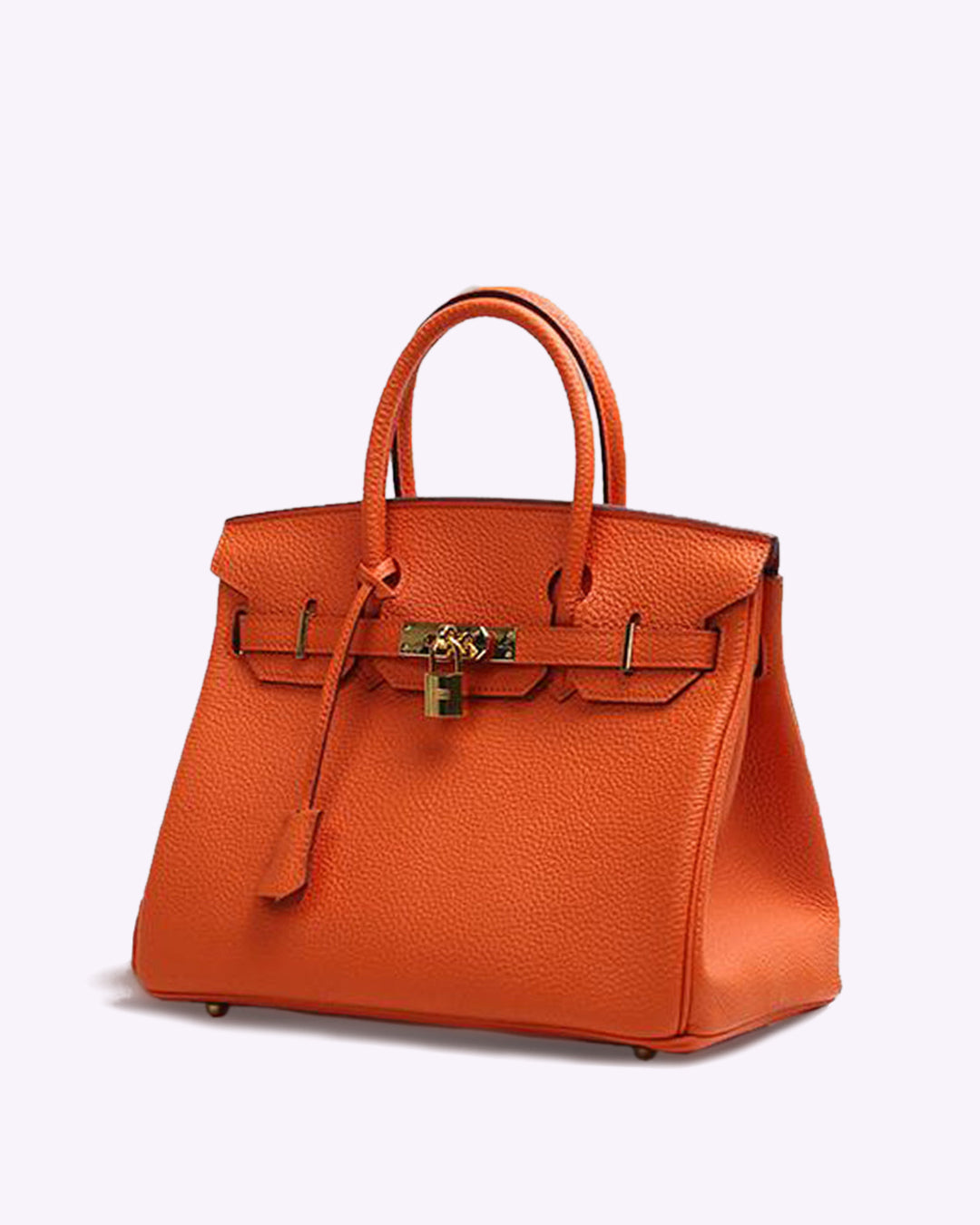 Women's vintage structured handbag with decorative lock detail, timeless style for work and leisure